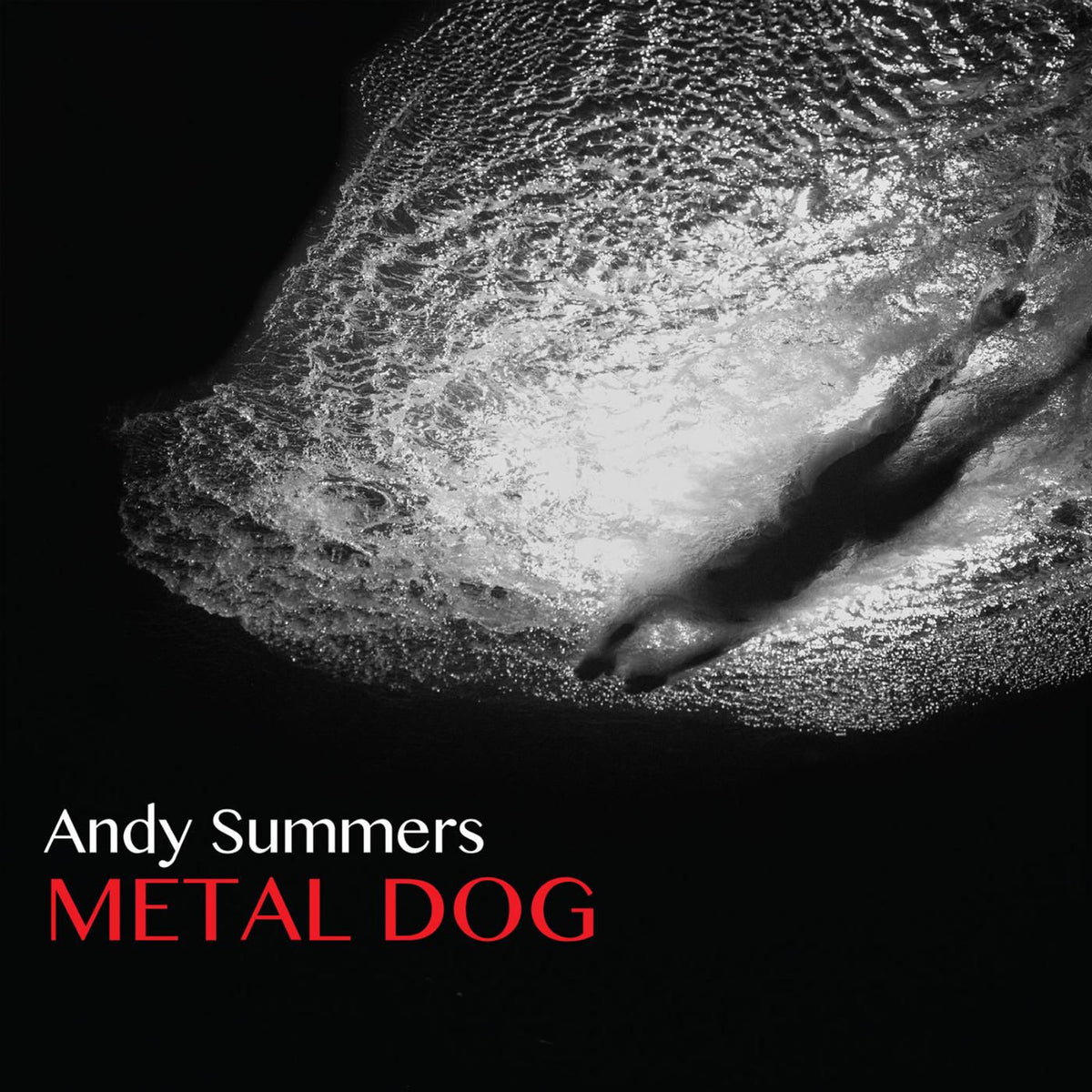 Andy Summers – Metal Dog vinyl cover
