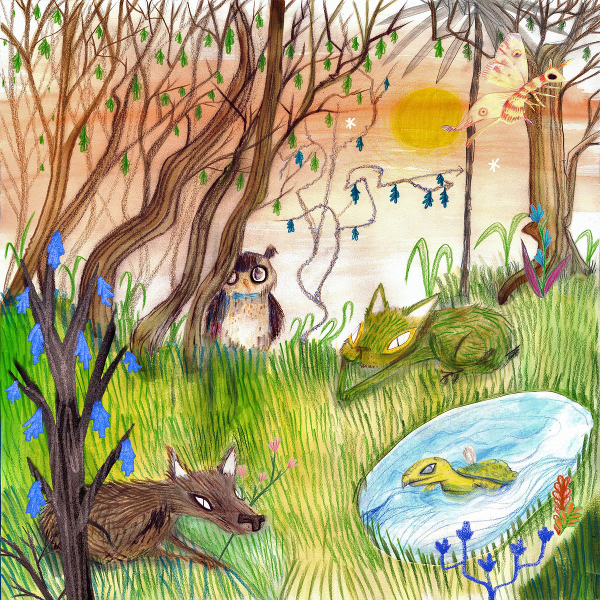 Cavetown – Animal Kingdom — record image 1