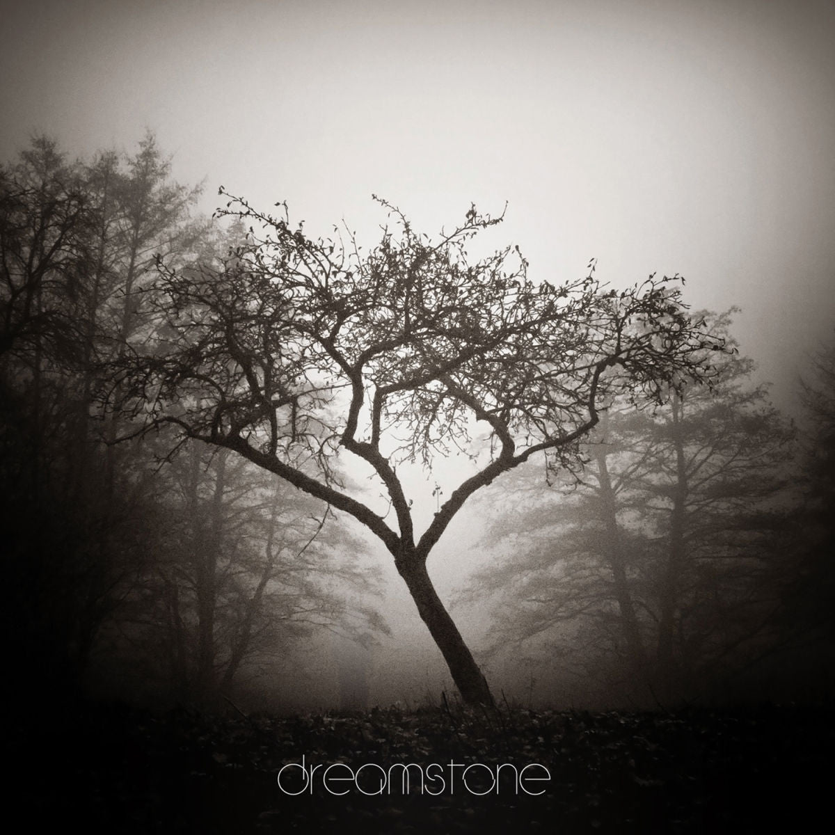 Sorrow – Dreamstone vinyl cover