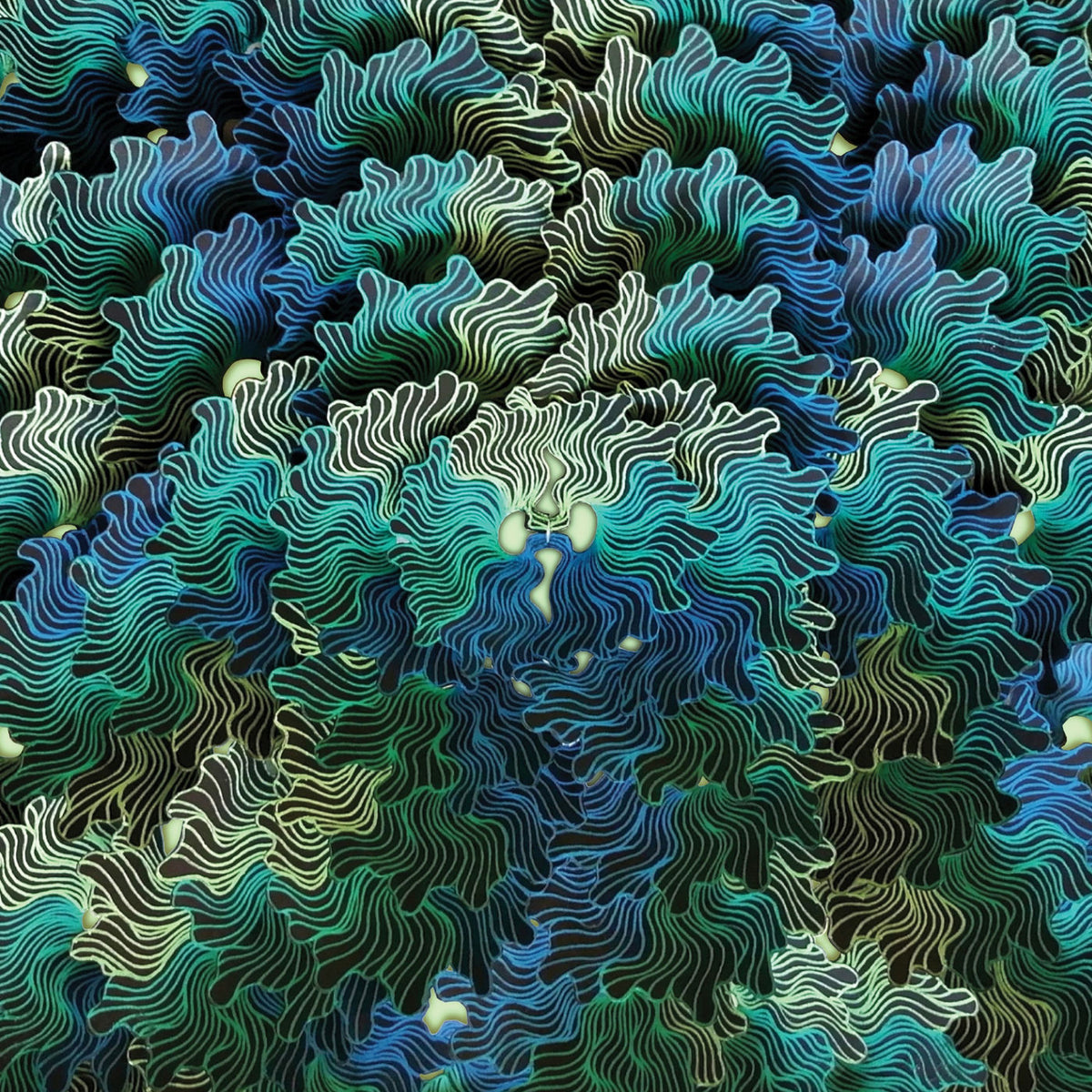 IzangoMa – Ngo Ma vinyl cover