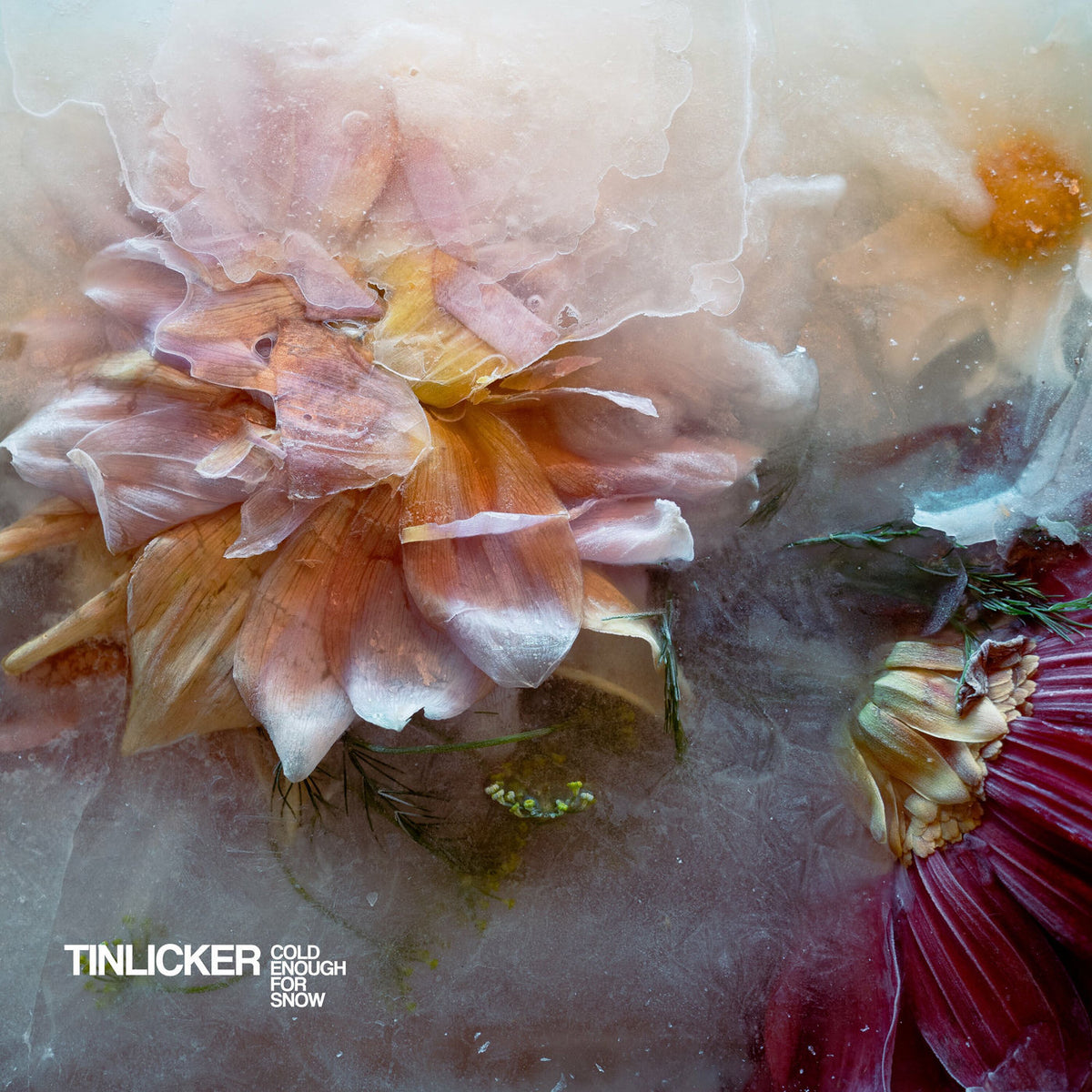 Tinlicker – Cold Enough For Snow vinyl record cover