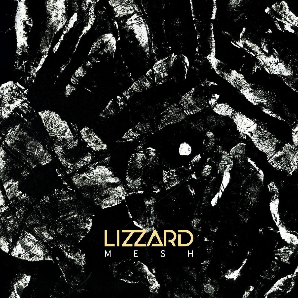 Lizzard – Mesh vinyl record cover