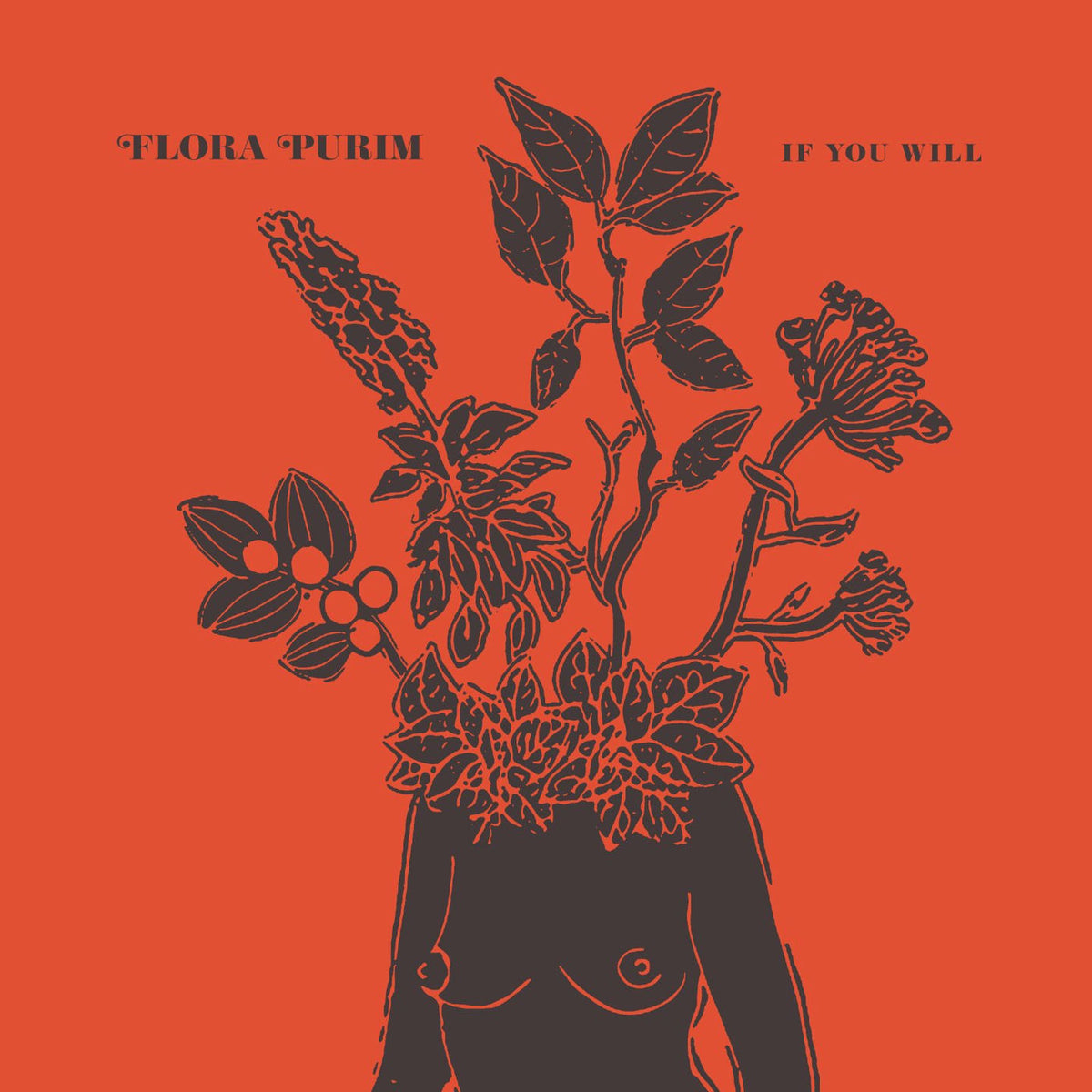 Flora Purim – If You Will vinyl cover