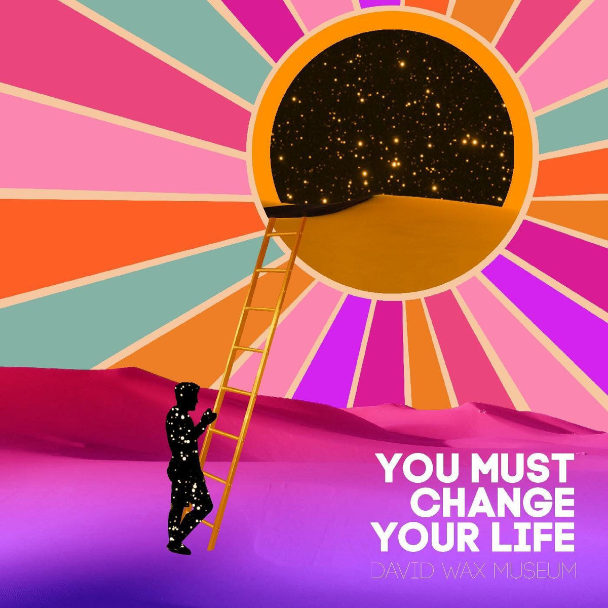 David Wax Museum – You Must Change Your Life vinyl record cover