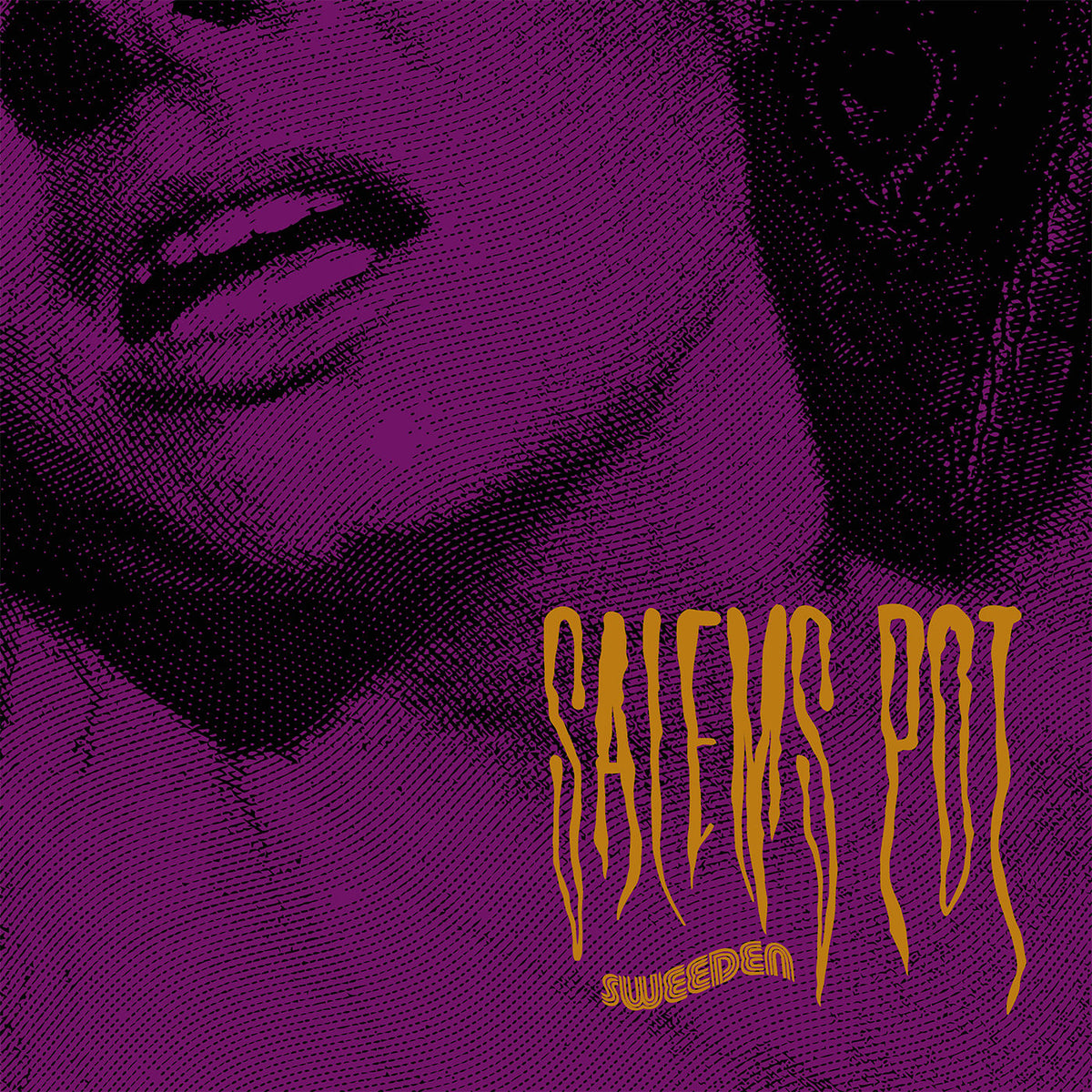 Salems Pot – Sweeden (BLK) vinyl record cover