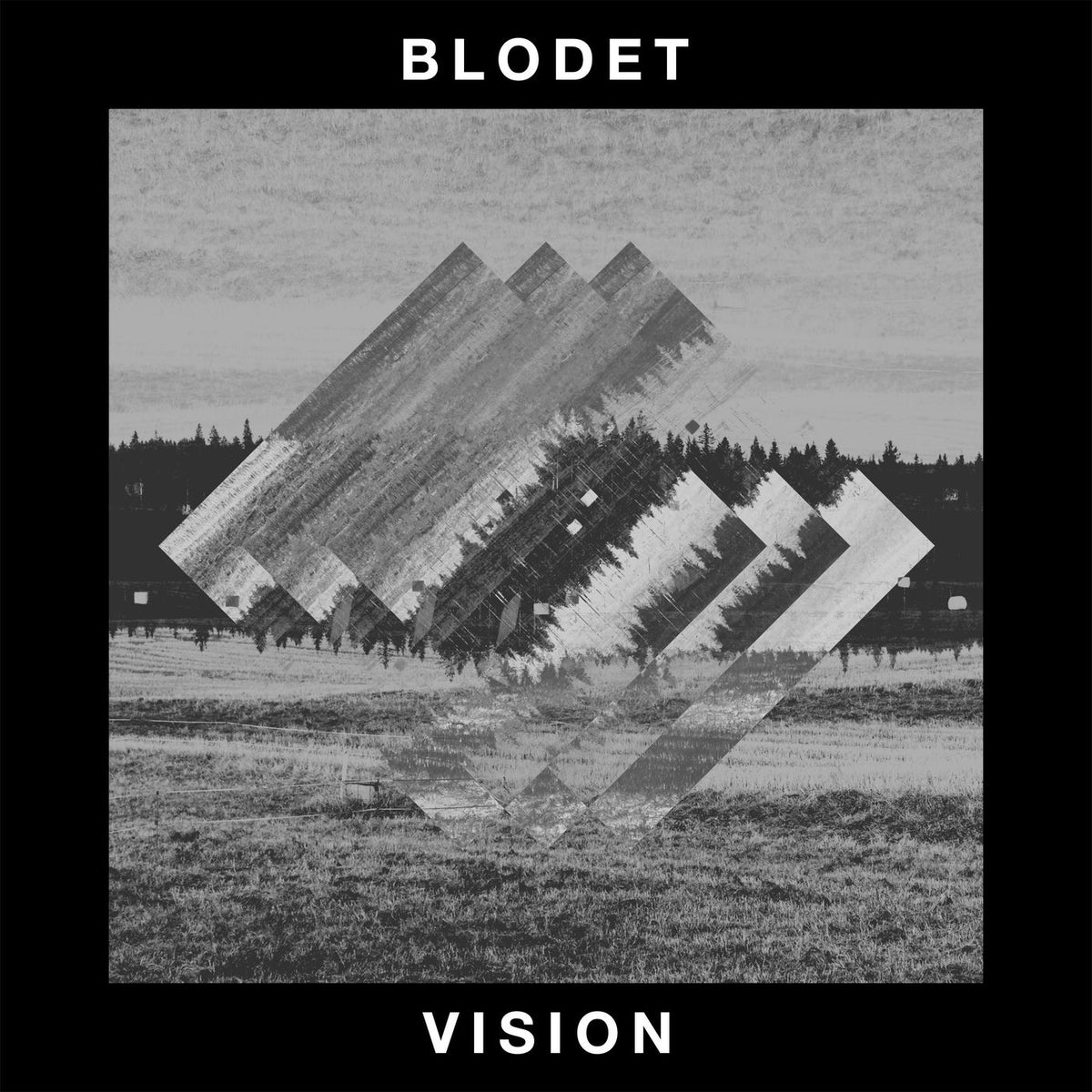 BLODET – Vision vinyl cover
