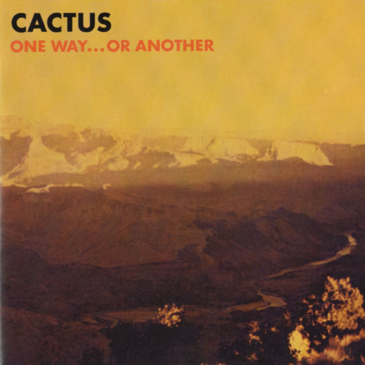 Cactus – One Way Or Another vinyl record cover