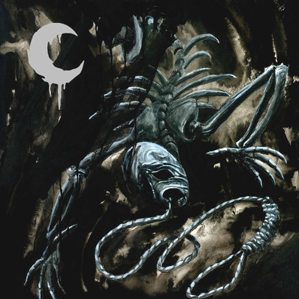 Leviathan – A Silhouette in Splinters — record image 1