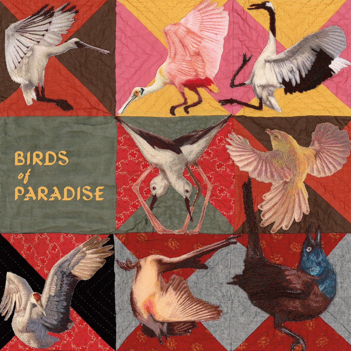 Thomas Dollbaum – Birds of Paradise vinyl record cover