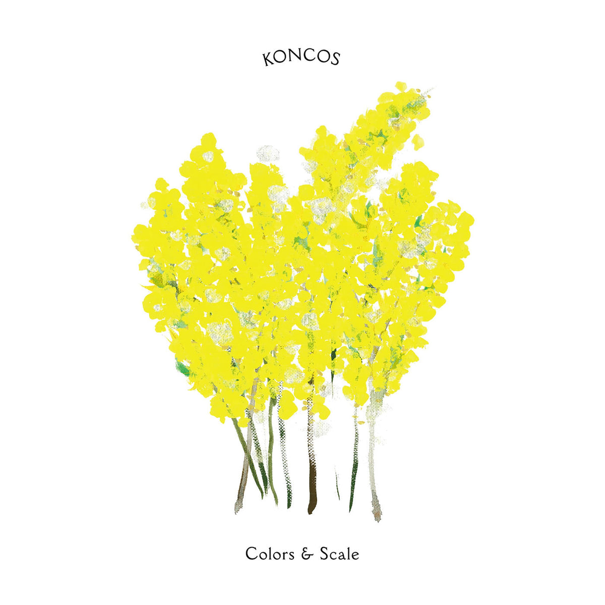Koncos – Colors & Scale vinyl record cover