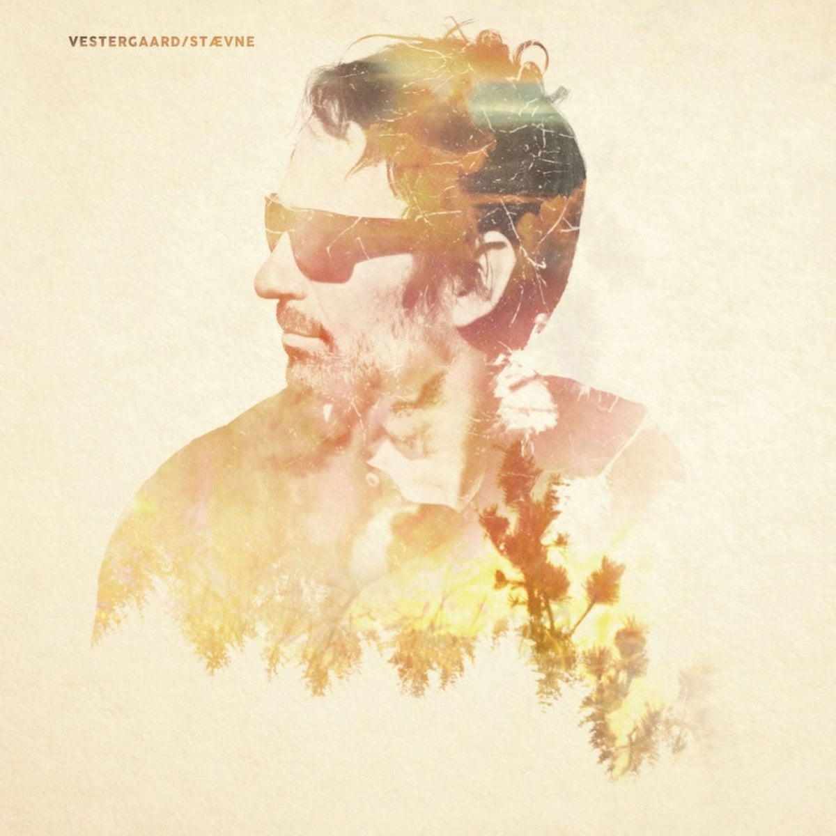 Lasse Vestergaard – Stævne vinyl cover