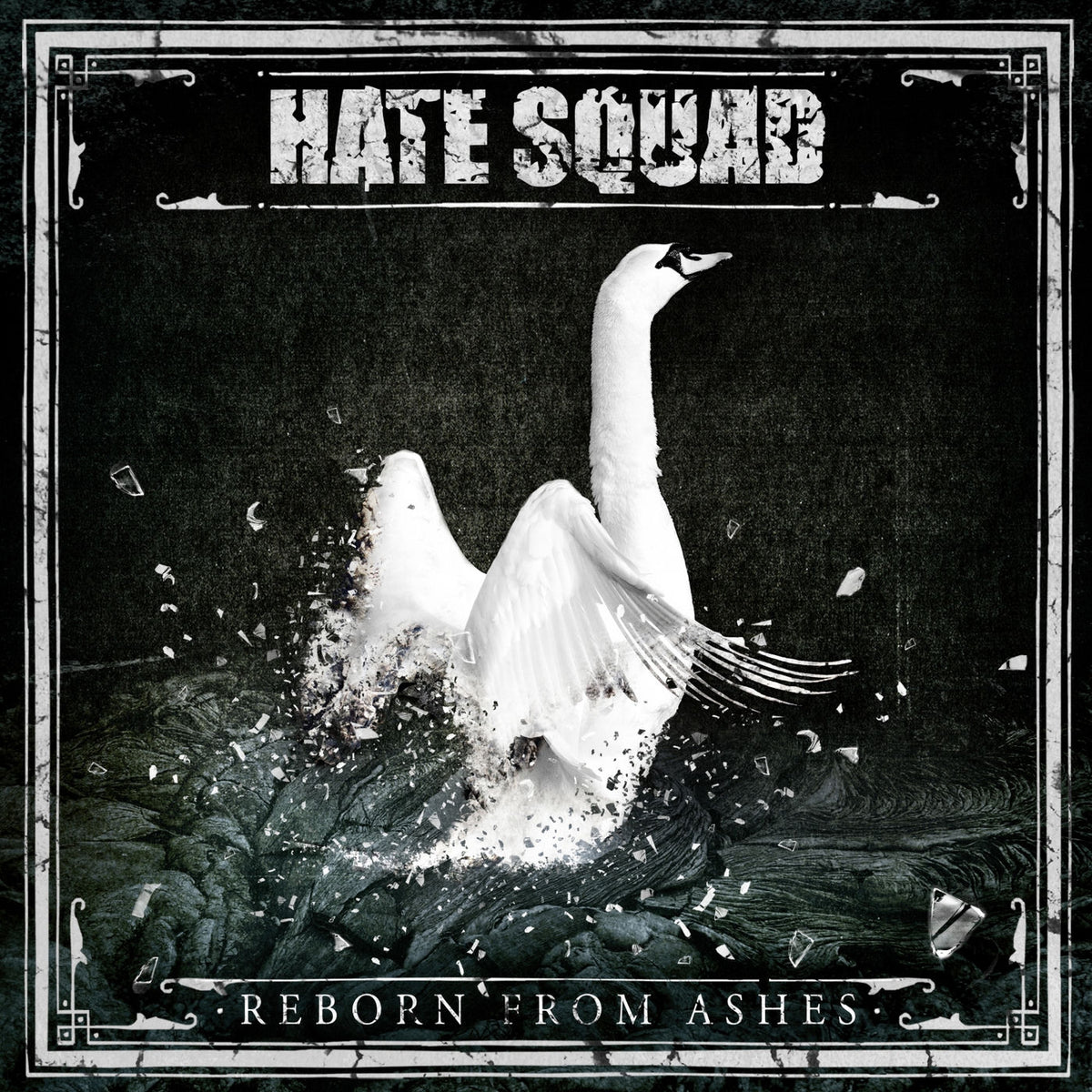 Hate Squad – Reborn From Ashes vinyl record cover