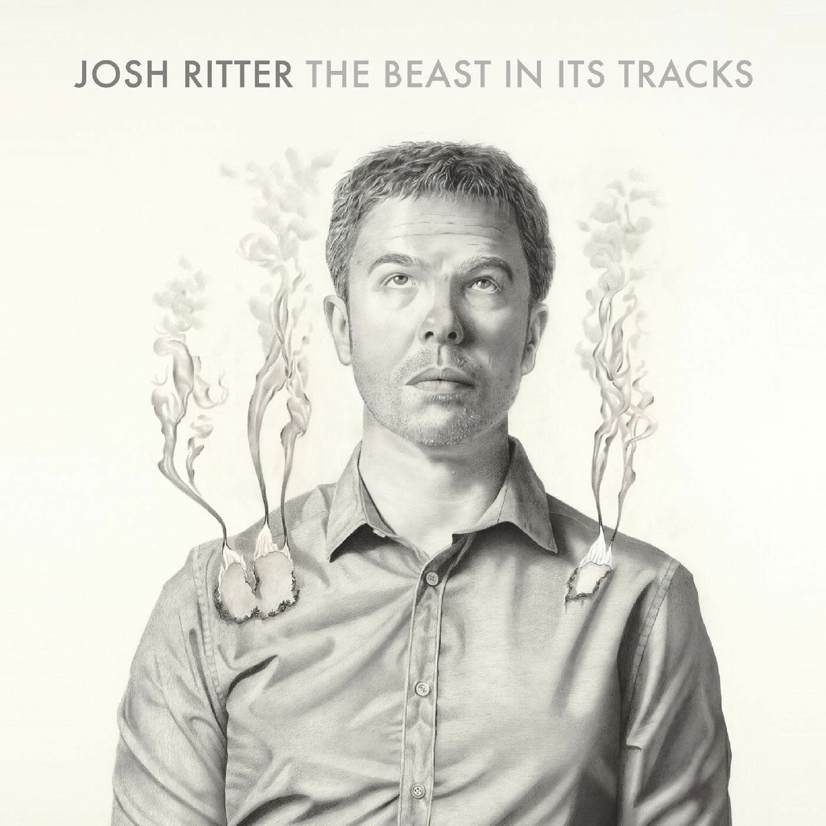 Josh Ritter – The Beast in Its Tracks vinyl cover
