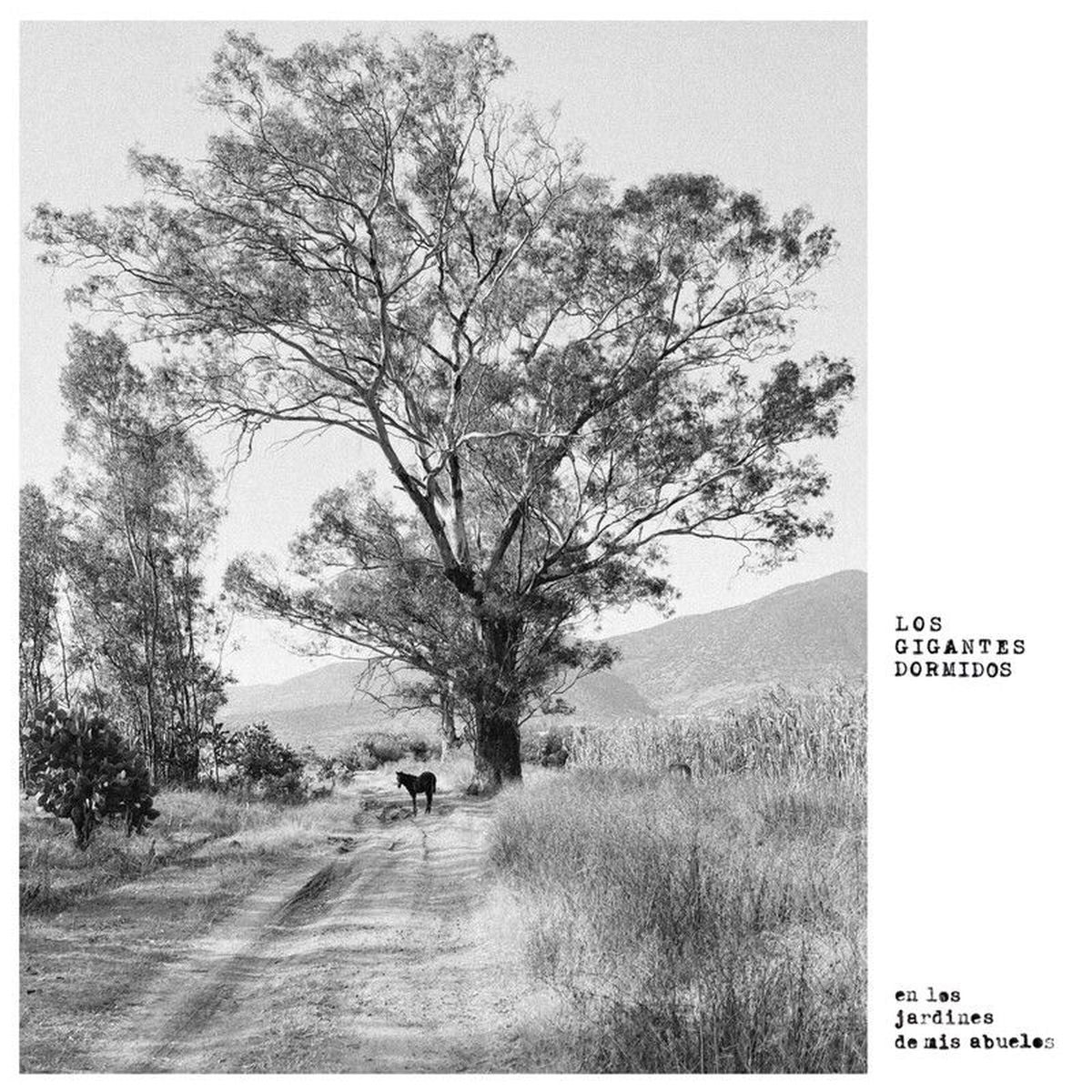 Los Gigantes Dormidos – Los Jardines De Mis Ab... vinyl record cover