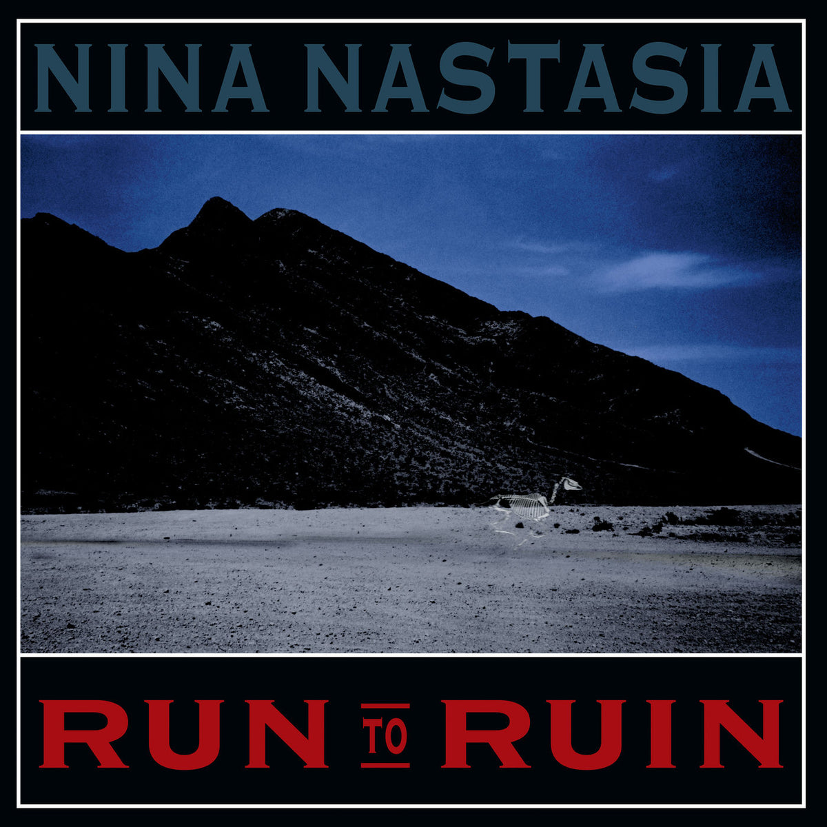 Nina Nastasia – Run to ruin vinyl record cover
