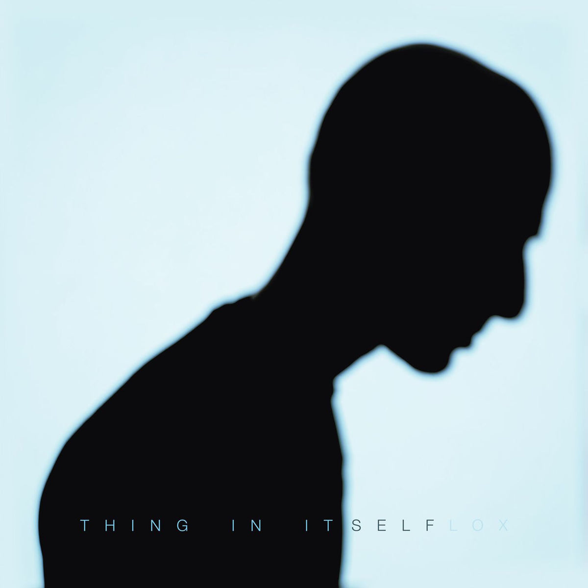 Flox – Thing In Itself vinyl record cover