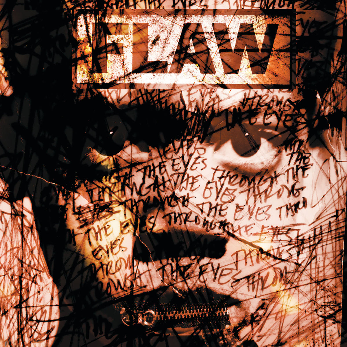 Flaw – Through The Eyes vinyl cover