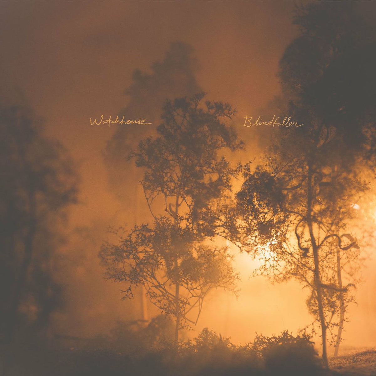 Watchhouse – Blindfaller vinyl record cover
