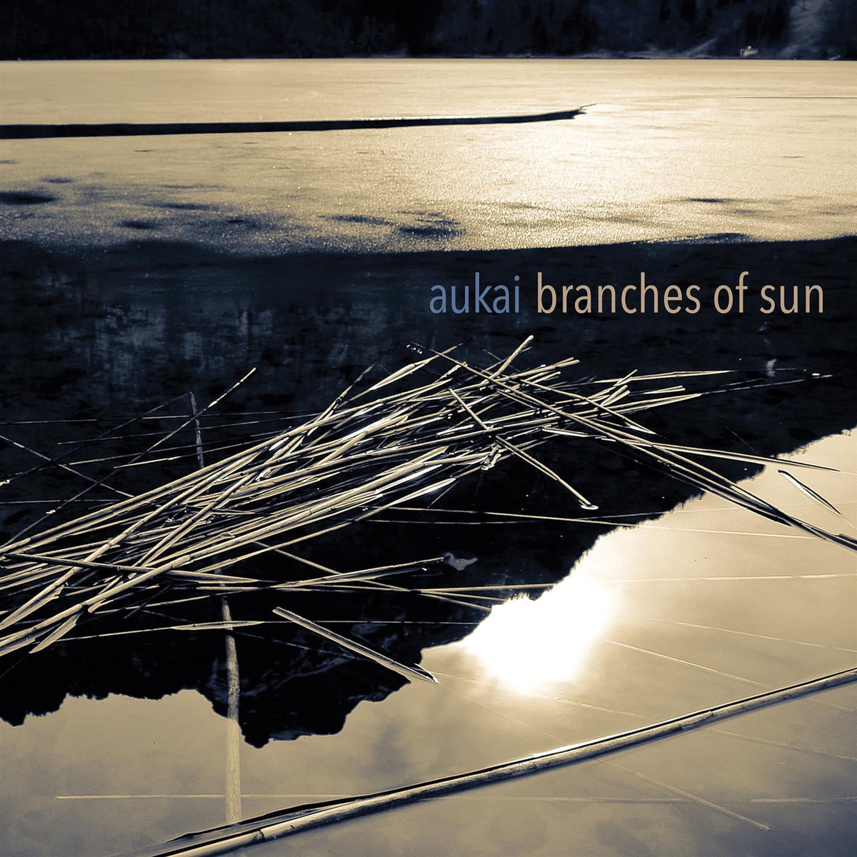 Aukai – Branches Of Sun vinyl record cover