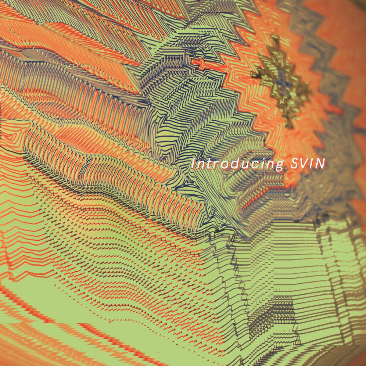 Svin – Introducing Svin vinyl record cover
