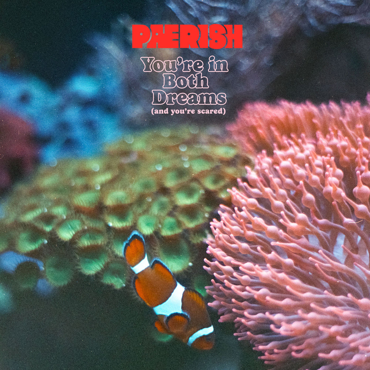Paerish – You're in both dreams (and you're scared) vinyl cover