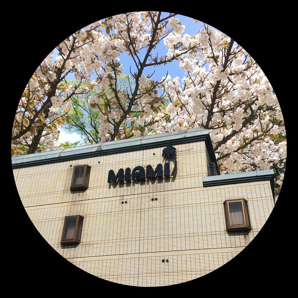 Clive From Accounts – Pearls EP vinyl cover
