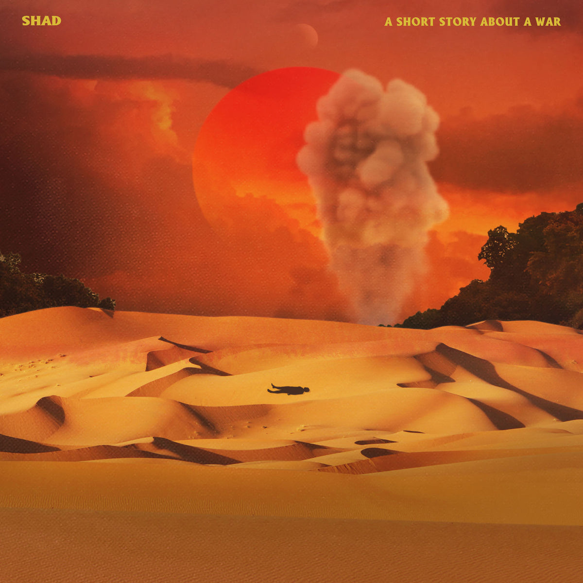 Shad – A Short Story About a War vinyl record cover