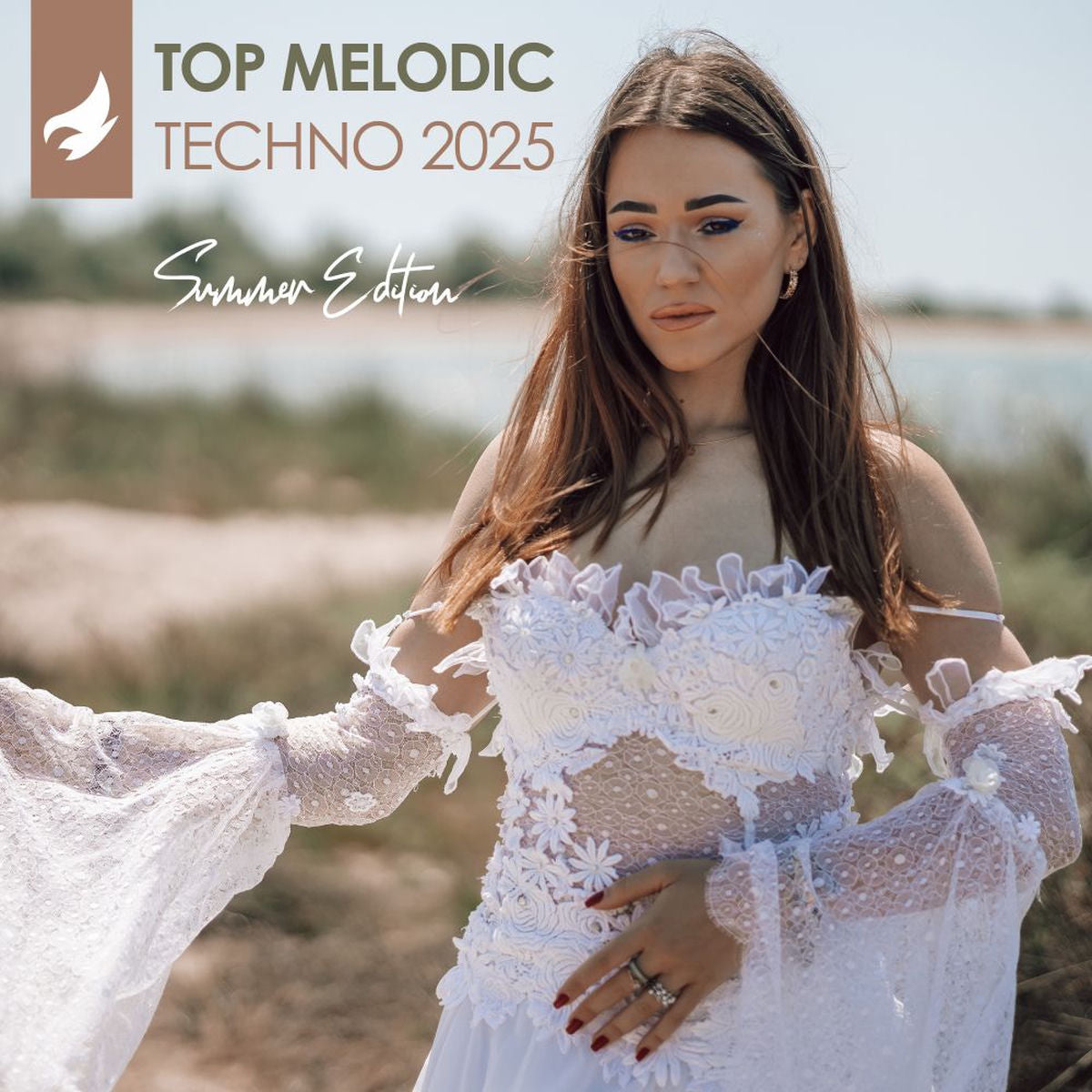 Various Artists – Melodic Techno 2025 vinyl record cover