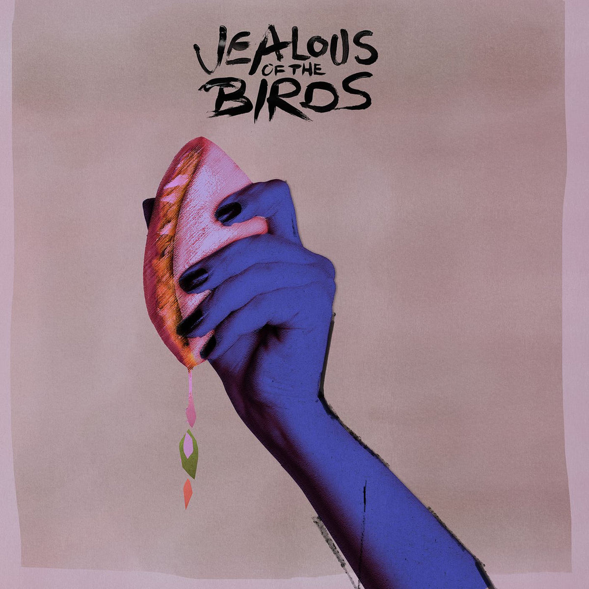 Jealous Of The Birds – The Moths of What I Want Will Eat Me in My Sleep vinyl record cover