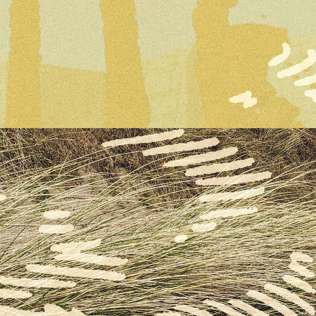 Parris – Terrapin EP vinyl cover