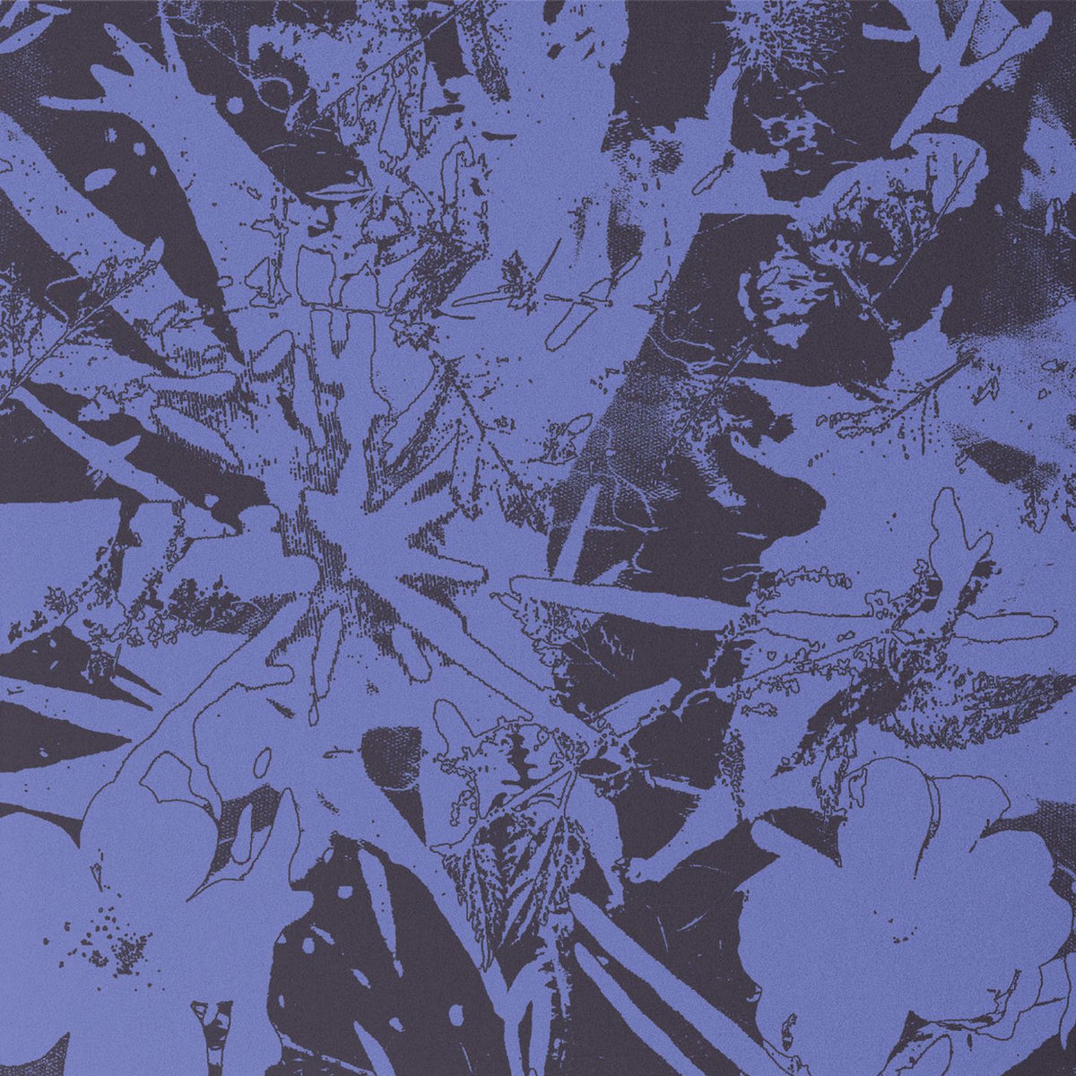 Plants Heal – Forest Dwellers vinyl record cover
