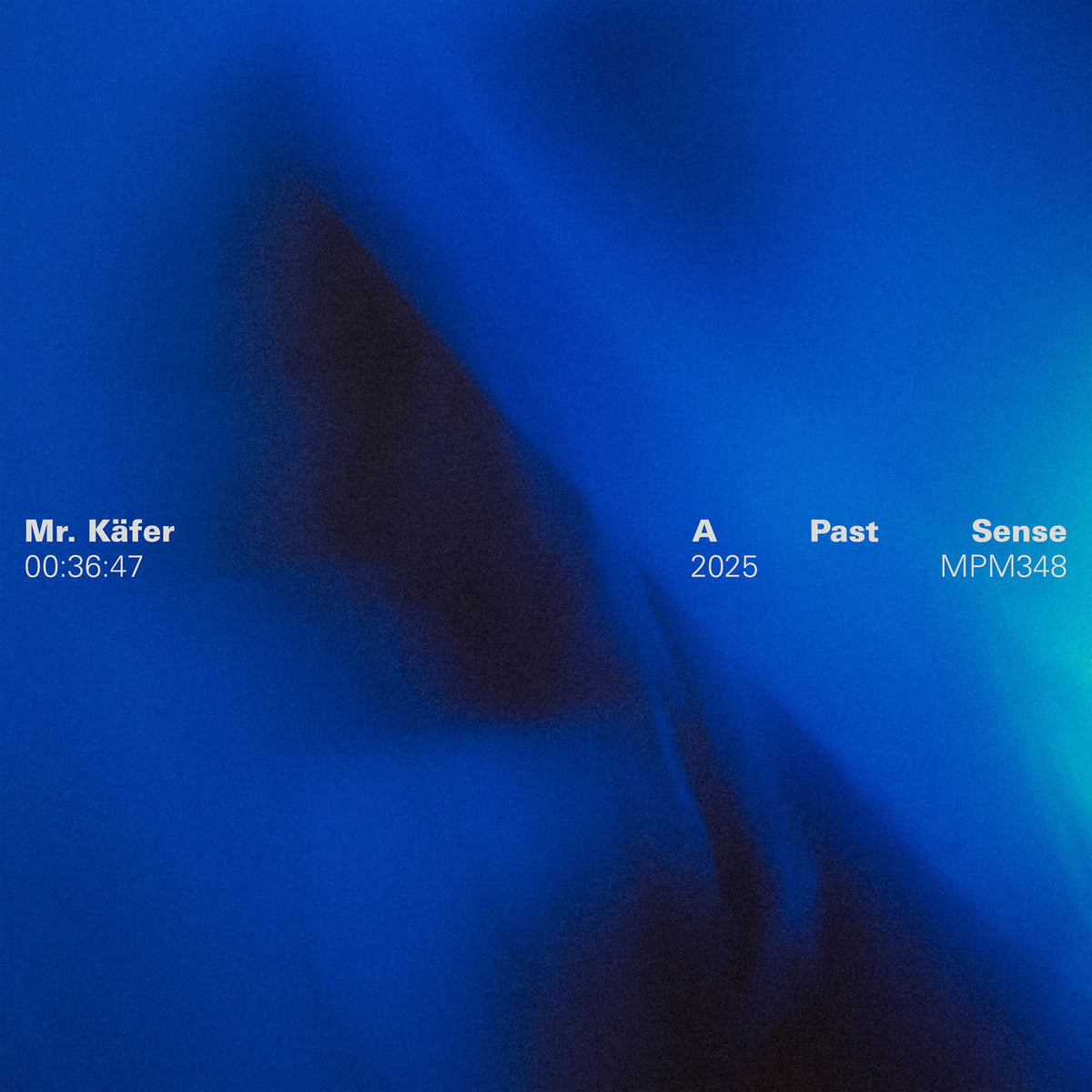 Mr. Käfer – A Past Sense vinyl cover