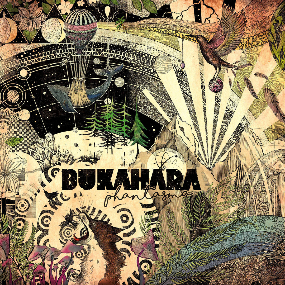 Bukahara – Phantasma vinyl record cover