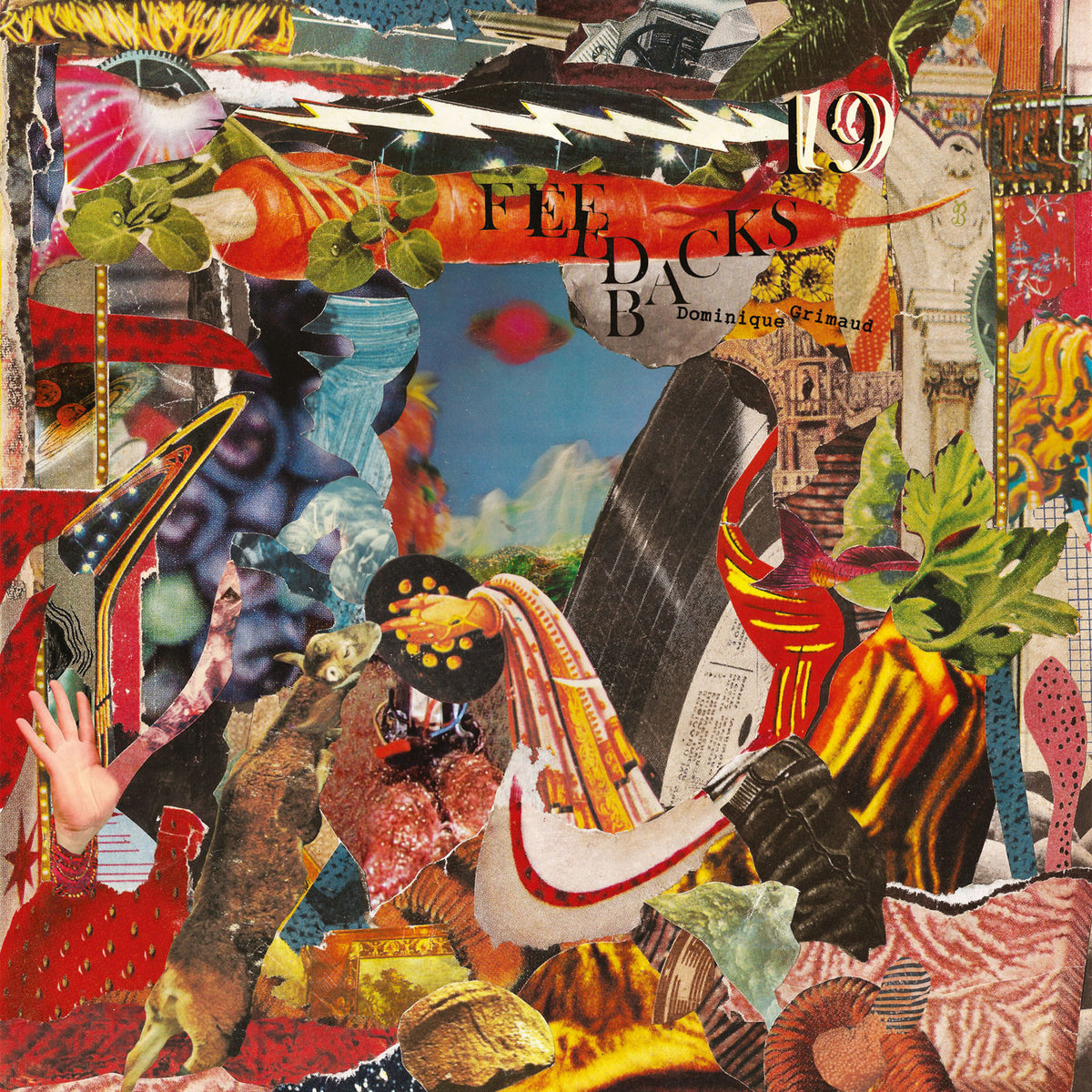 Dominique Grimaud – 19 Feedbacks vinyl record cover