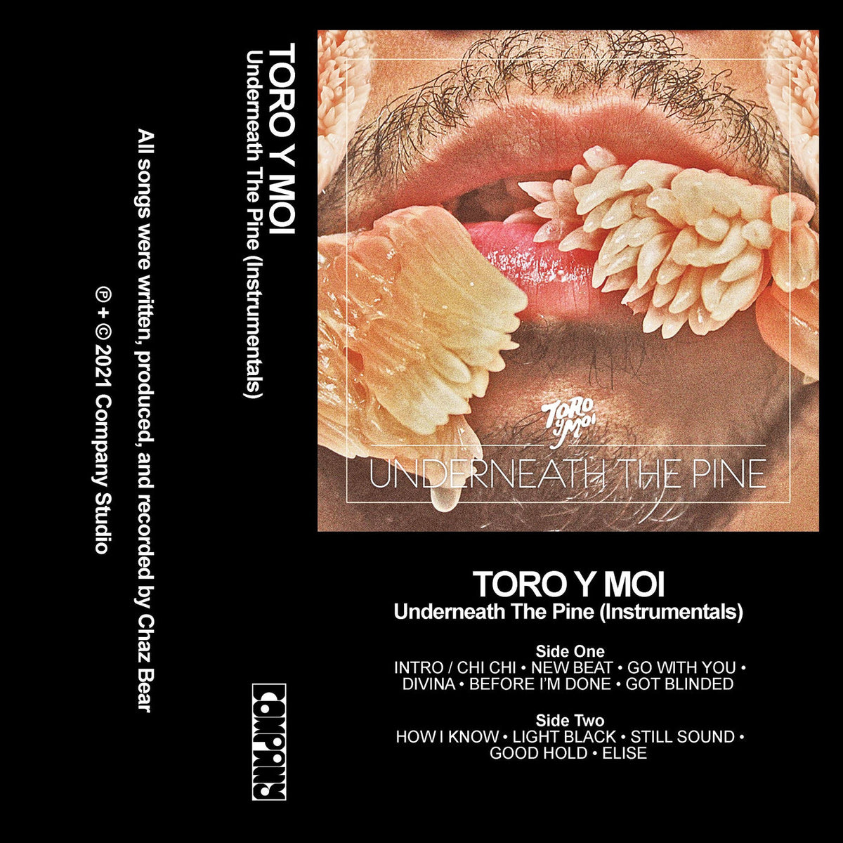 Toro Y Moi – Underneath the Pine vinyl record cover