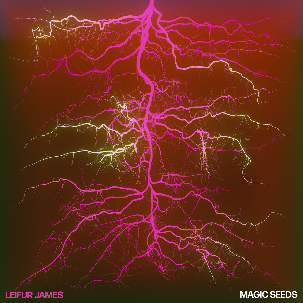 Leifur James – Magic Seeds (Deluxe Edition) (Ruby Vinyl) (+Booklet) (Indies) vinyl record cover