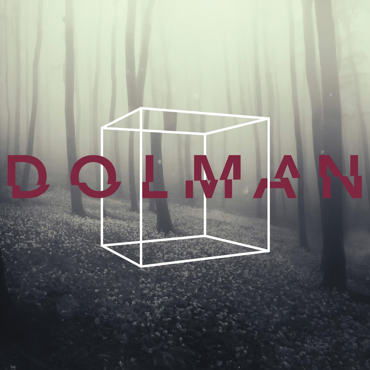 Dolman – Dolman (UK) vinyl record cover