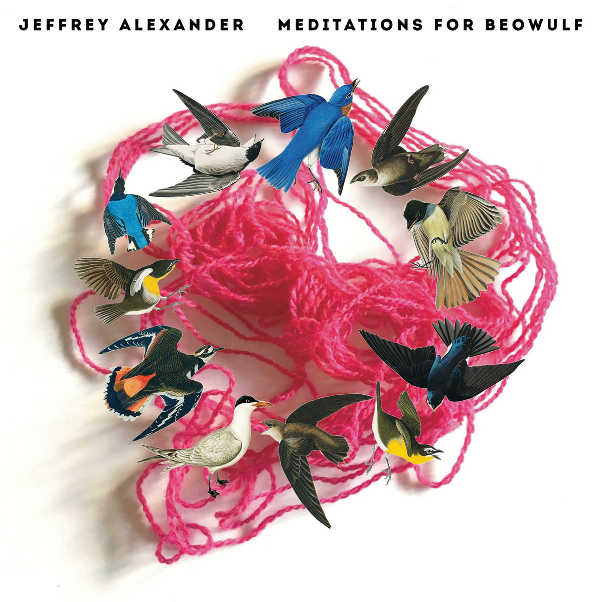 Jeffrey Alexander – Meditations For Beowulf vinyl record cover