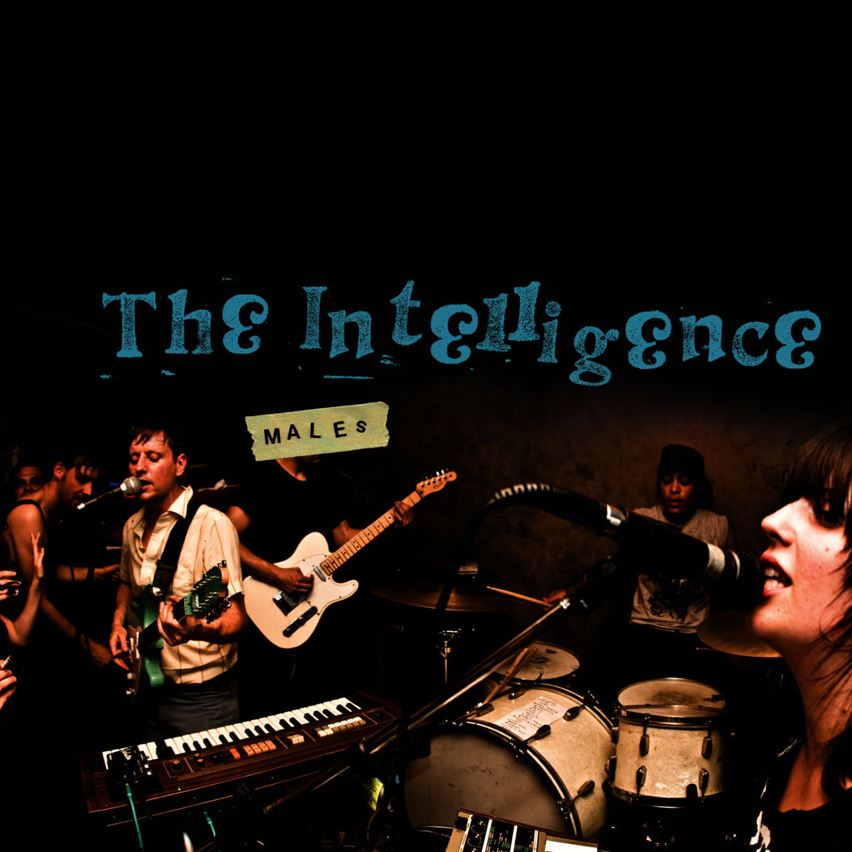 Intelligence – Males vinyl record cover