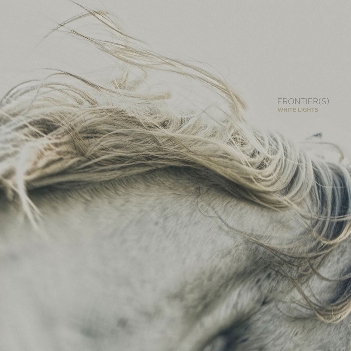 Frontier(s) – White Lights vinyl cover