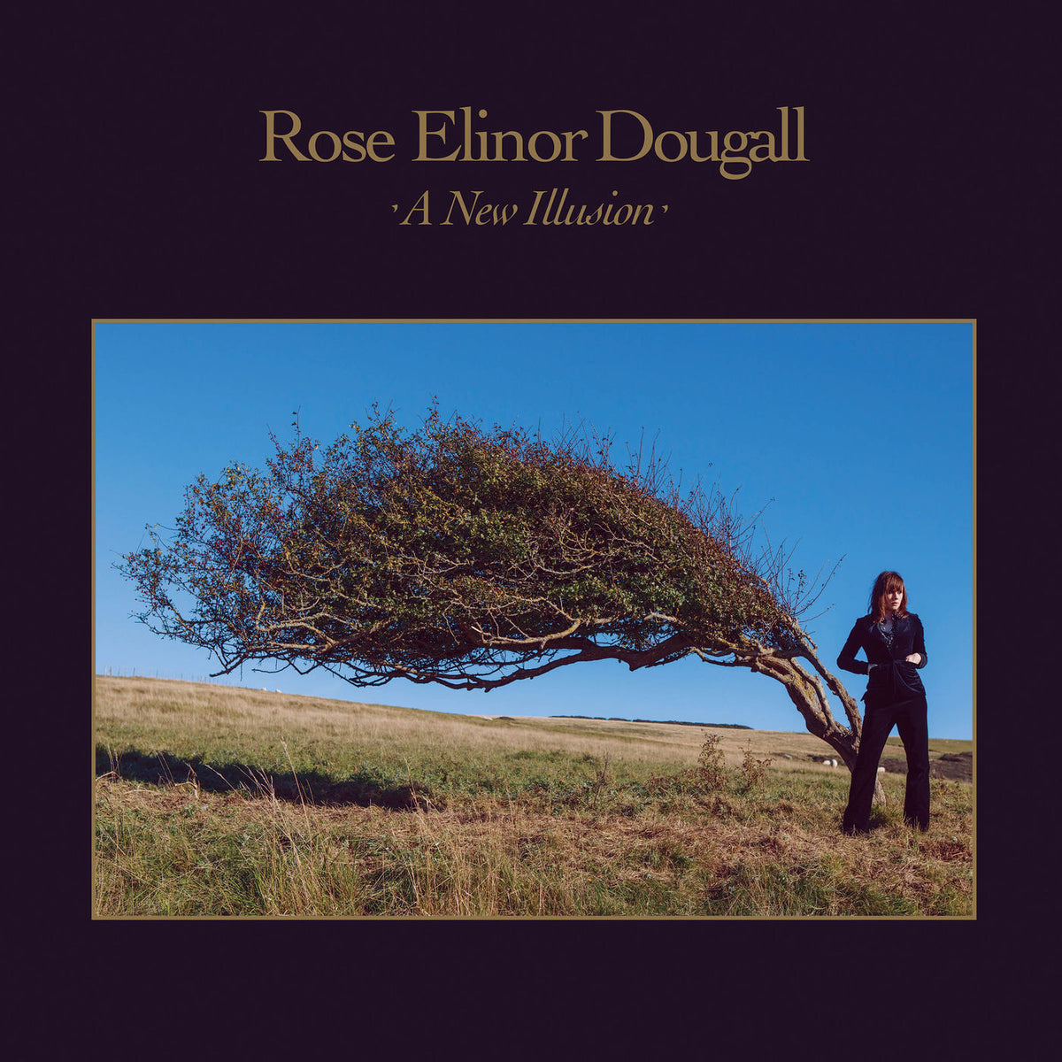 Rose Elinor Dougall – A New Illusion vinyl cover