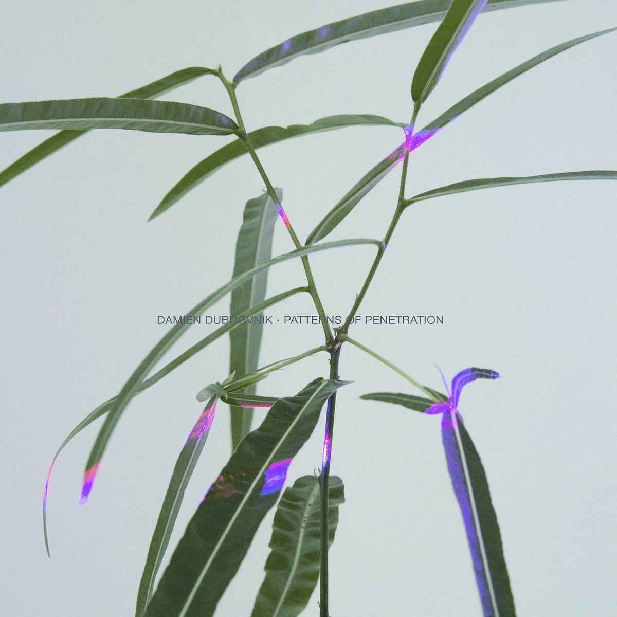 Damien Dubrovnik – Patterns of Penetration vinyl cover
