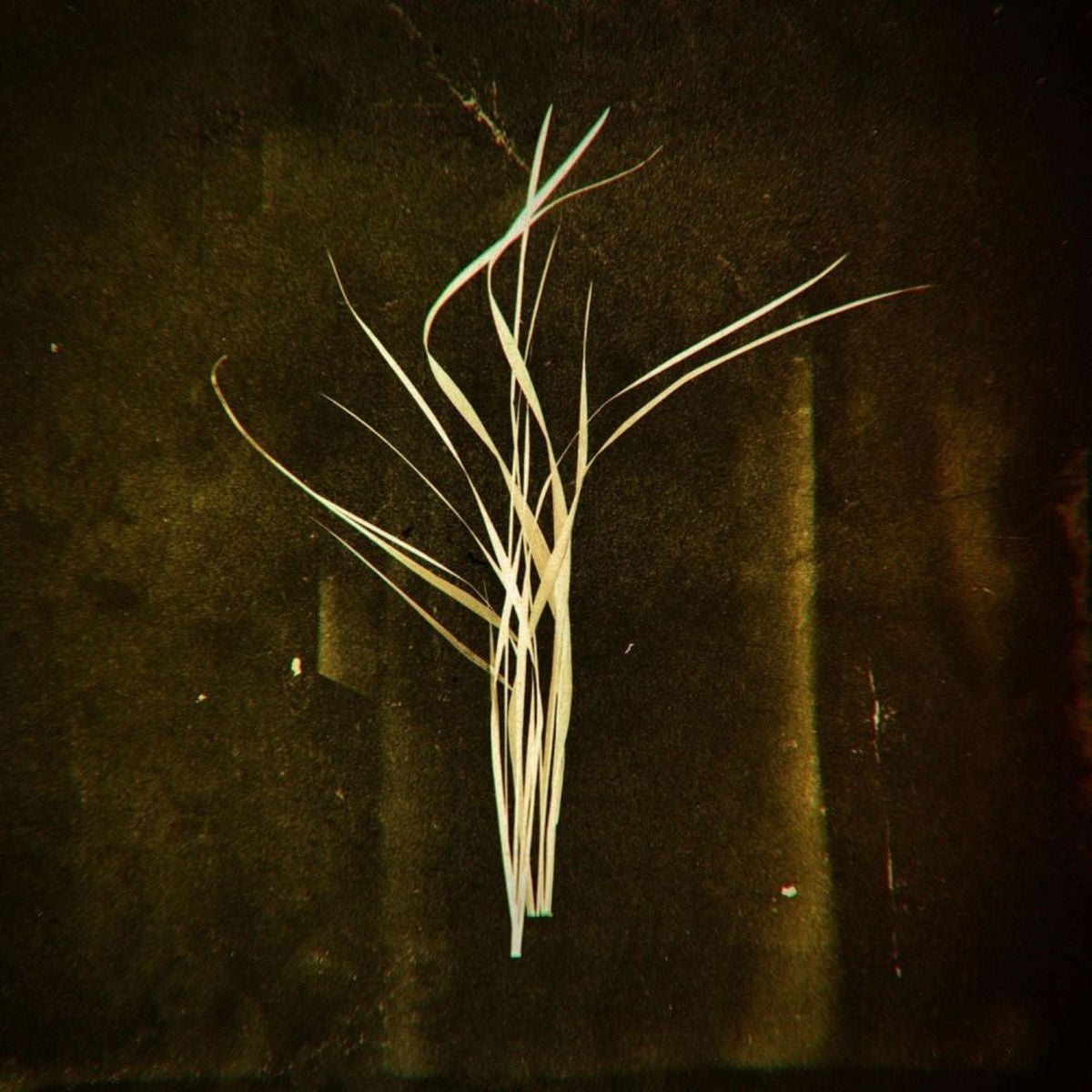 Lumisokea – Mnemosyne vinyl record cover