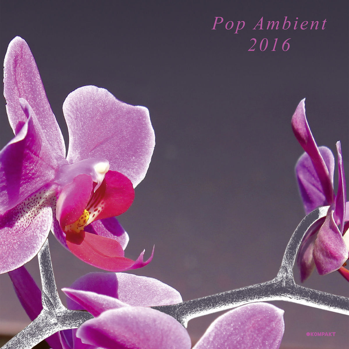 Various Artists – Pop Ambient 2016 (W/CD) (180G) vinyl record cover