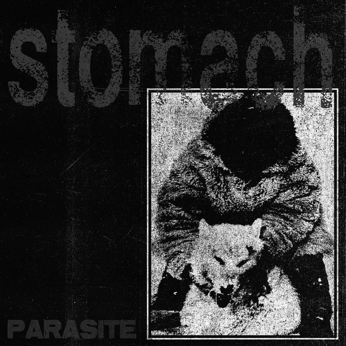 Stomach – Parasite vinyl record cover