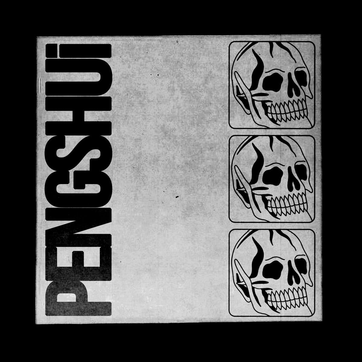 PENGSHUi – PENGSHUi vinyl record cover