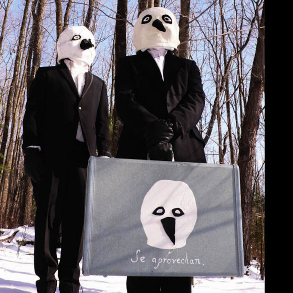 They Might Be Giants – The Else vinyl record cover