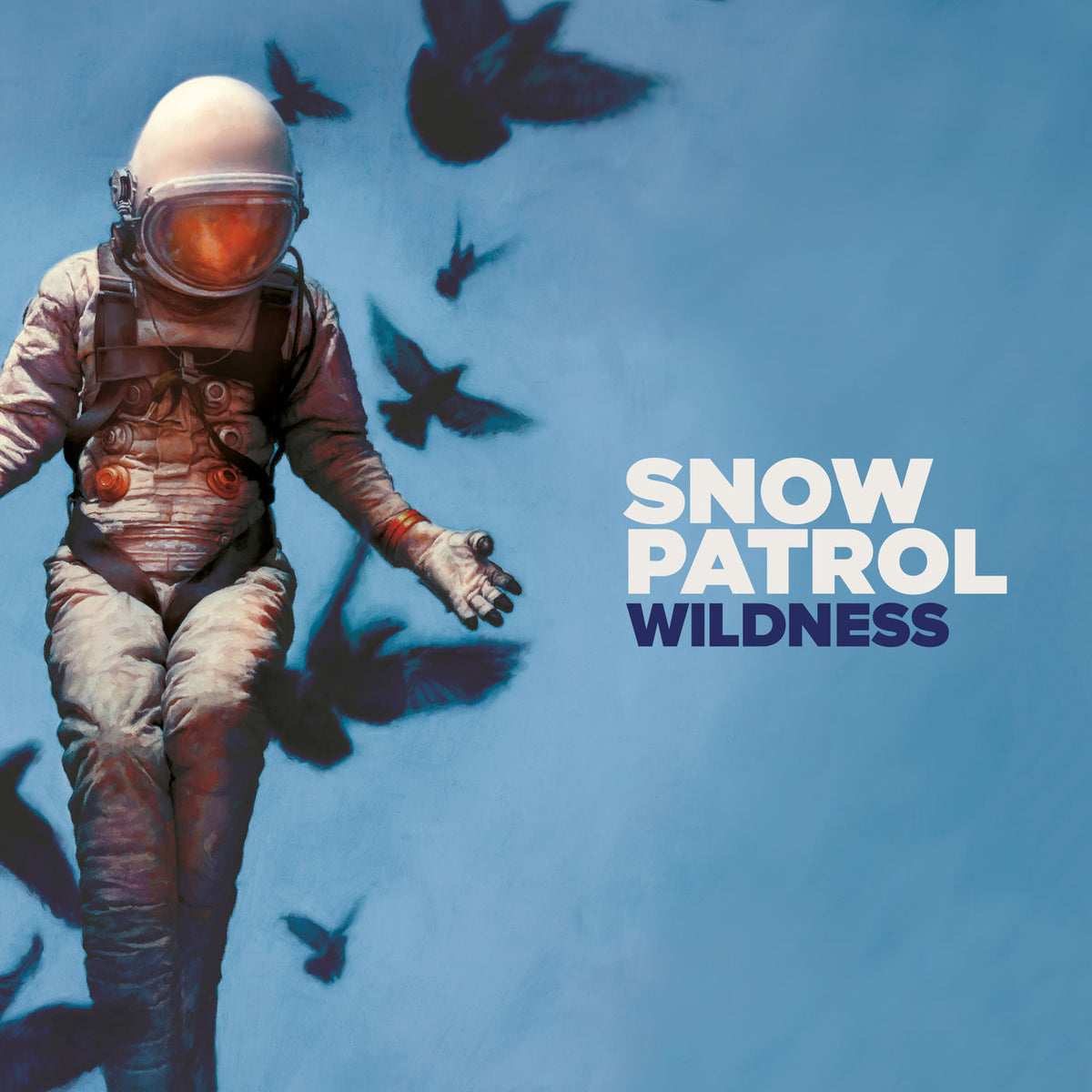Snow Patrol – Wildness vinyl record cover