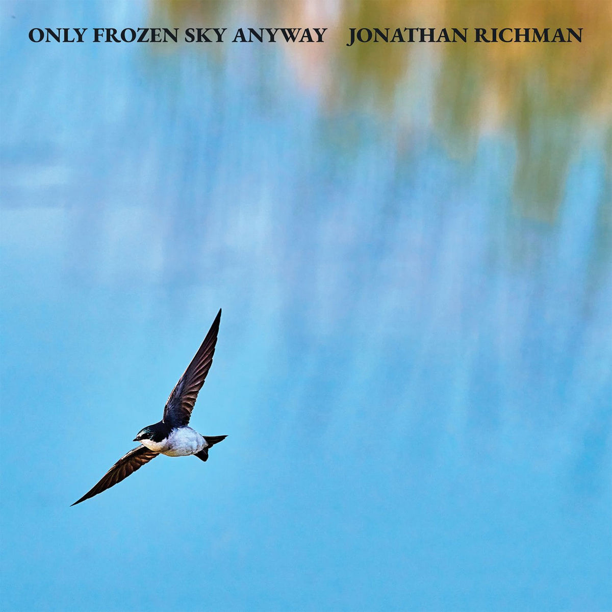 Jonathan Richman – Only Frozen Sky Anyway vinyl record cover