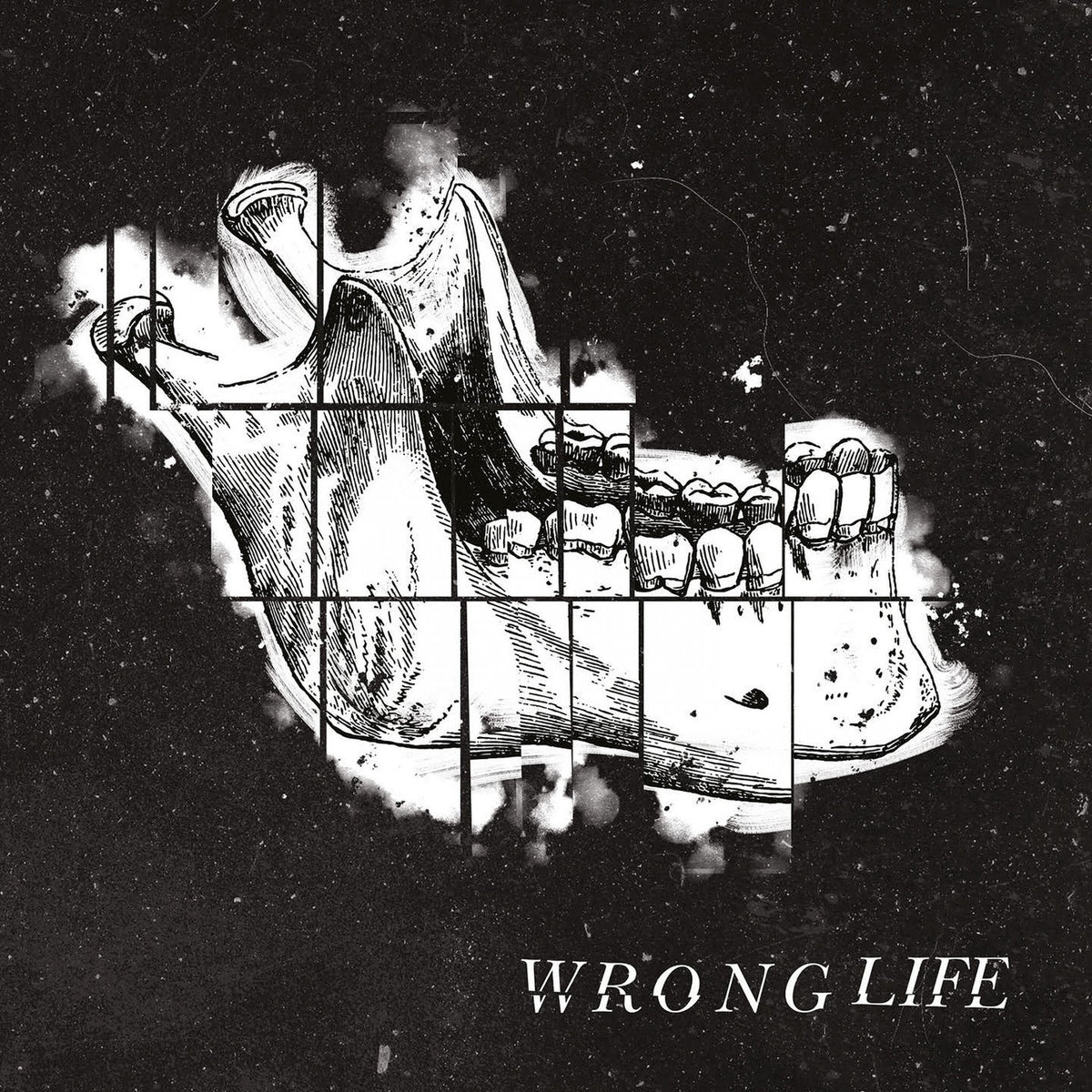 Wrong Life – Wrong Life vinyl record cover